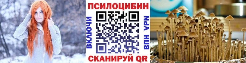 как найти наркотики  Пионерский  Галлюциногенные грибы MAGIC MUSHROOMS 